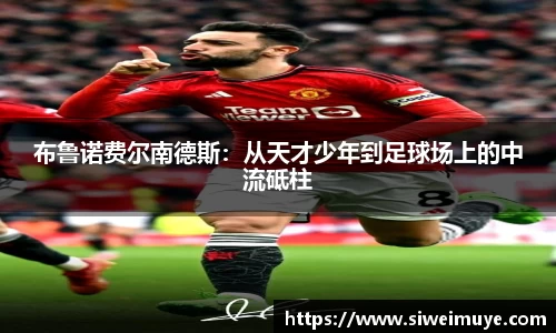 小鸟体育官网